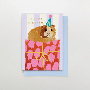 Guinea Pig Gift Birthday Card